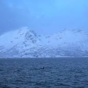 Snow-covered mountains photographed by guest virginio